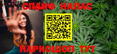 молекула духа Шелехов