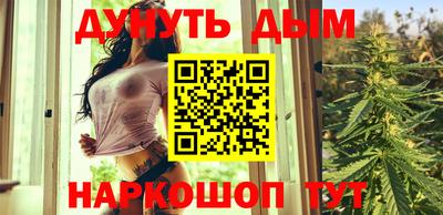 молекула духа Шелехов
