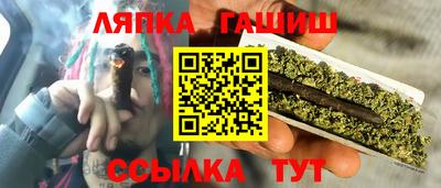 молекула духа Шелехов