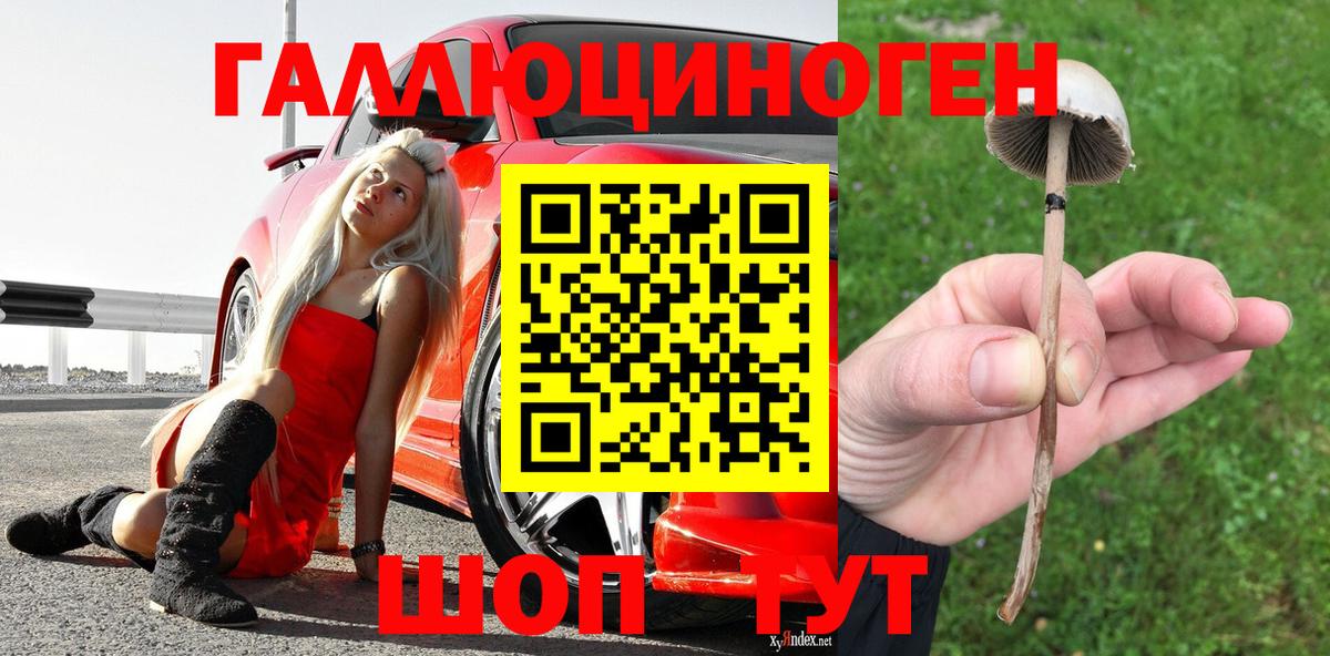 Краснокаменск  Галлюциногенные грибы ЛСД  Вход с VPN 